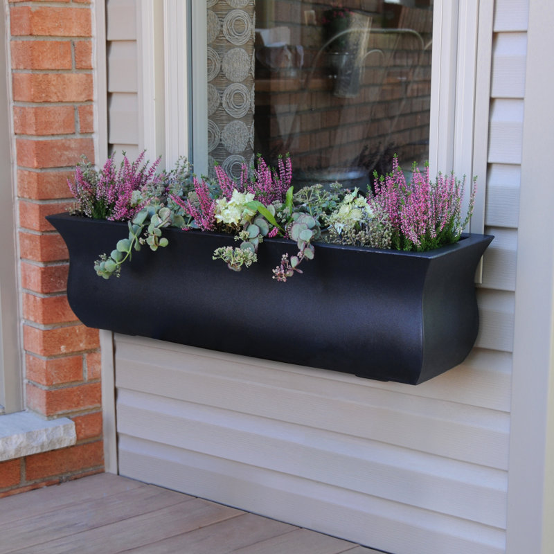 Winston Porter Kalf Self Watering Plastic Window Box Planter & Reviews Wayfair